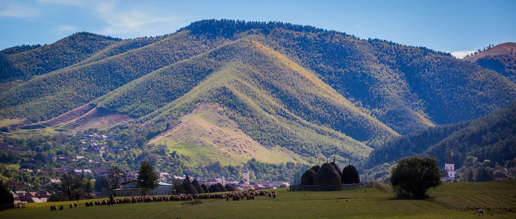 Picturesque Village In Transylvania Răşinari Szoba fotó